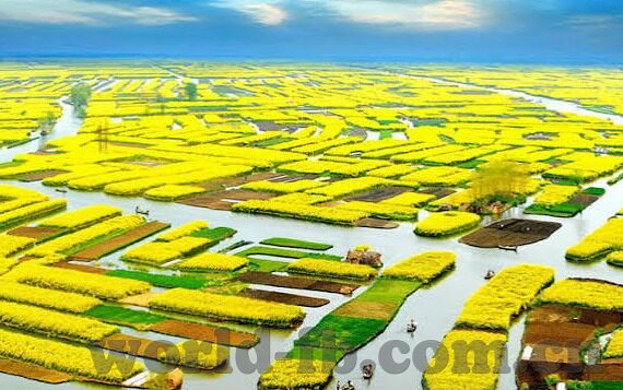 90移动足球比分-90移动足球比分,数字时代的绿茵场实时战报神器