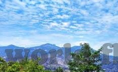 萌新三国九游版下载-三国迷的福音,萌新三国九游版下载指南