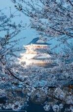 心动庄园2九游版下载-心动庄园——九游版带你探索浪漫庄园